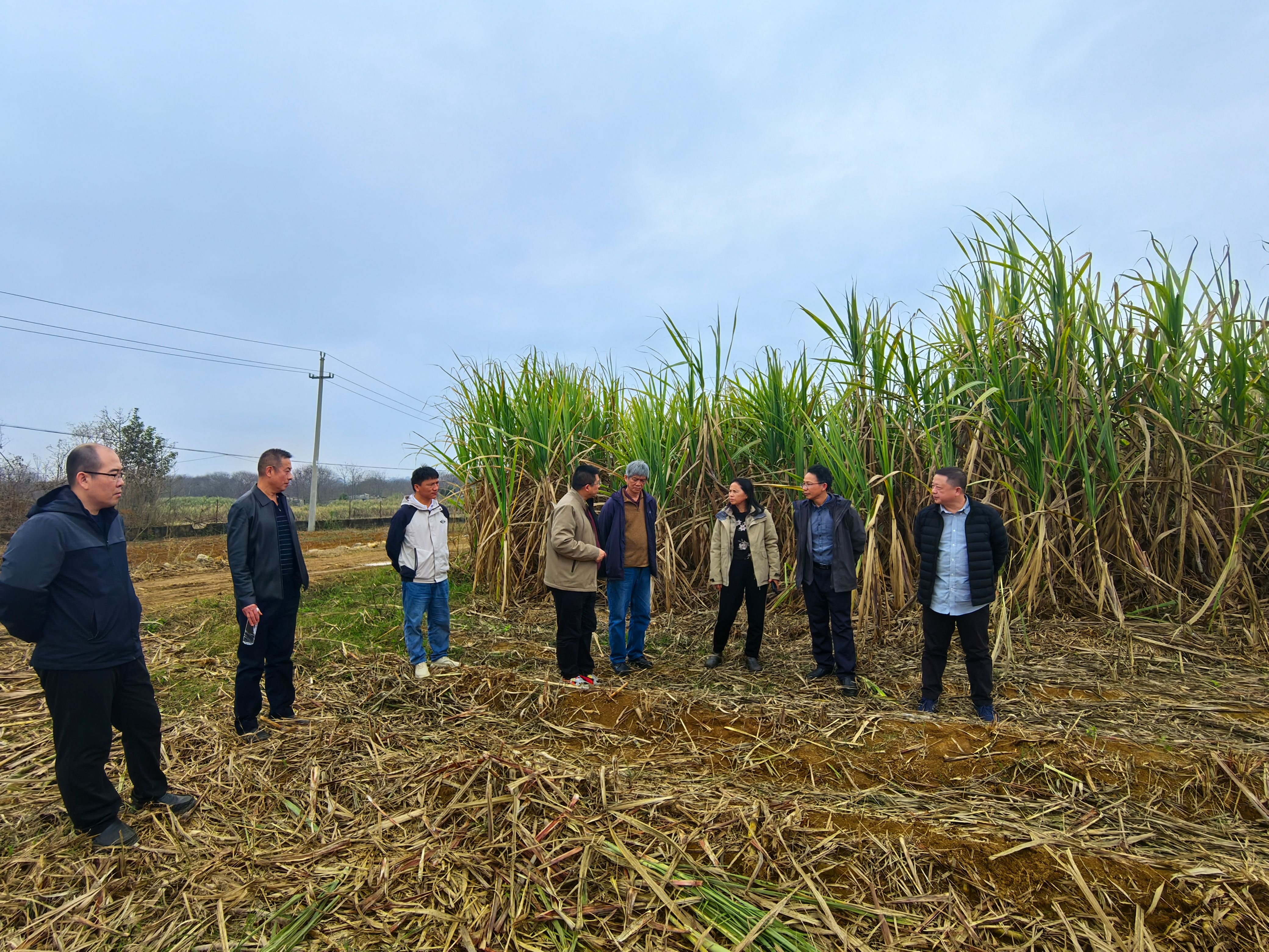 古天乐代言太阳集团网址