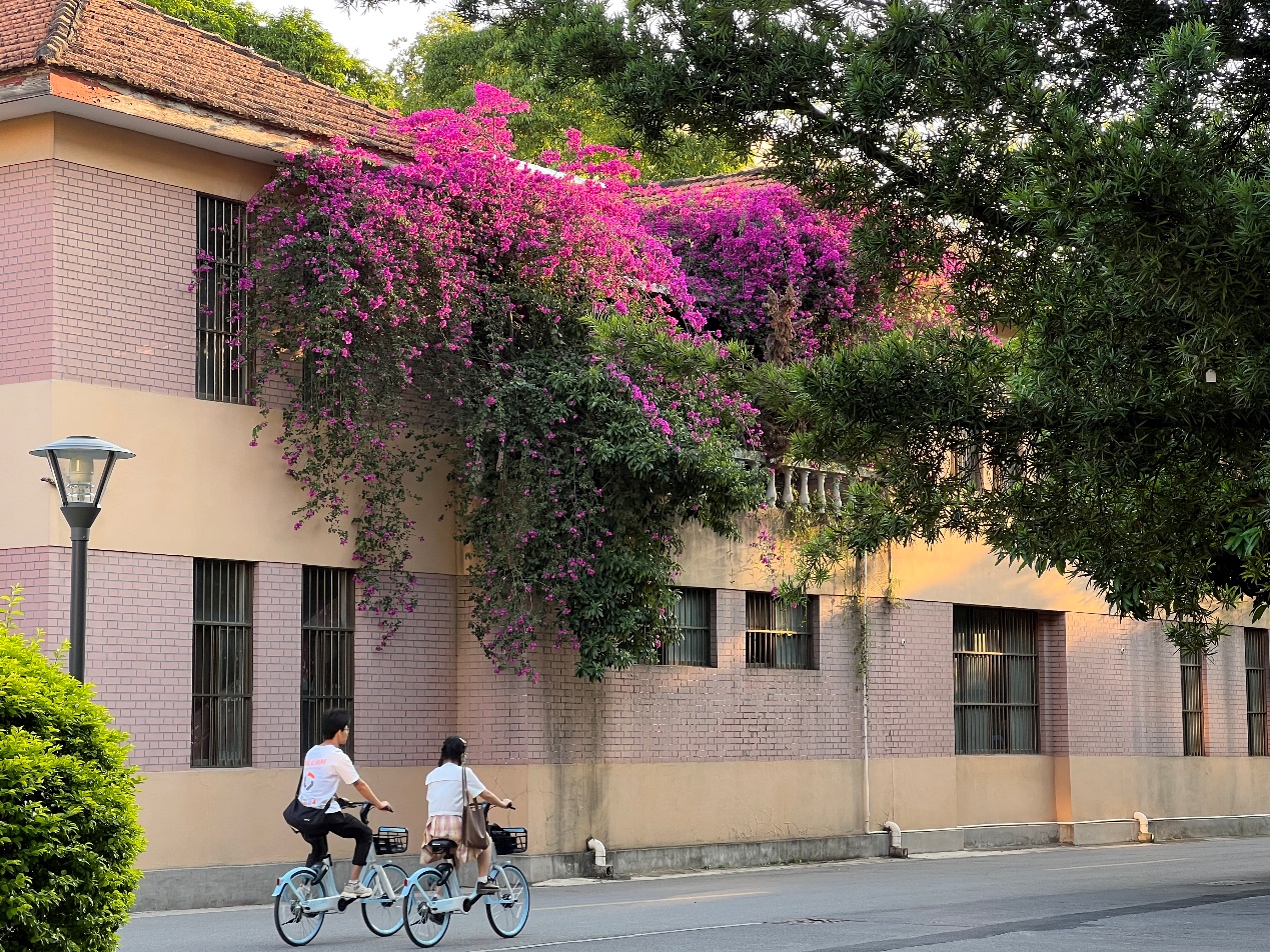 古天乐代言太阳集团网址